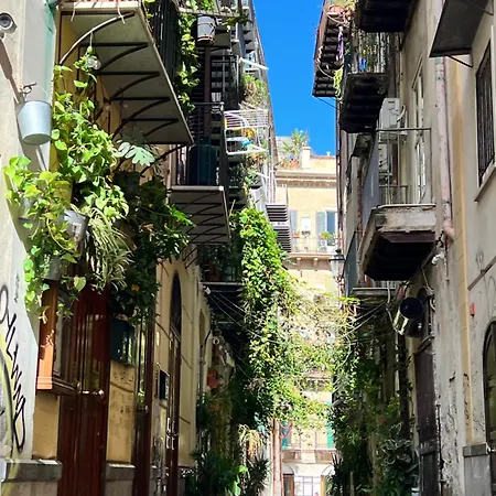 Casa Tere * פלרמו